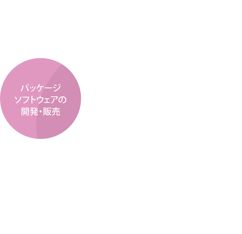 パッケージソフトウェアの開発・販売